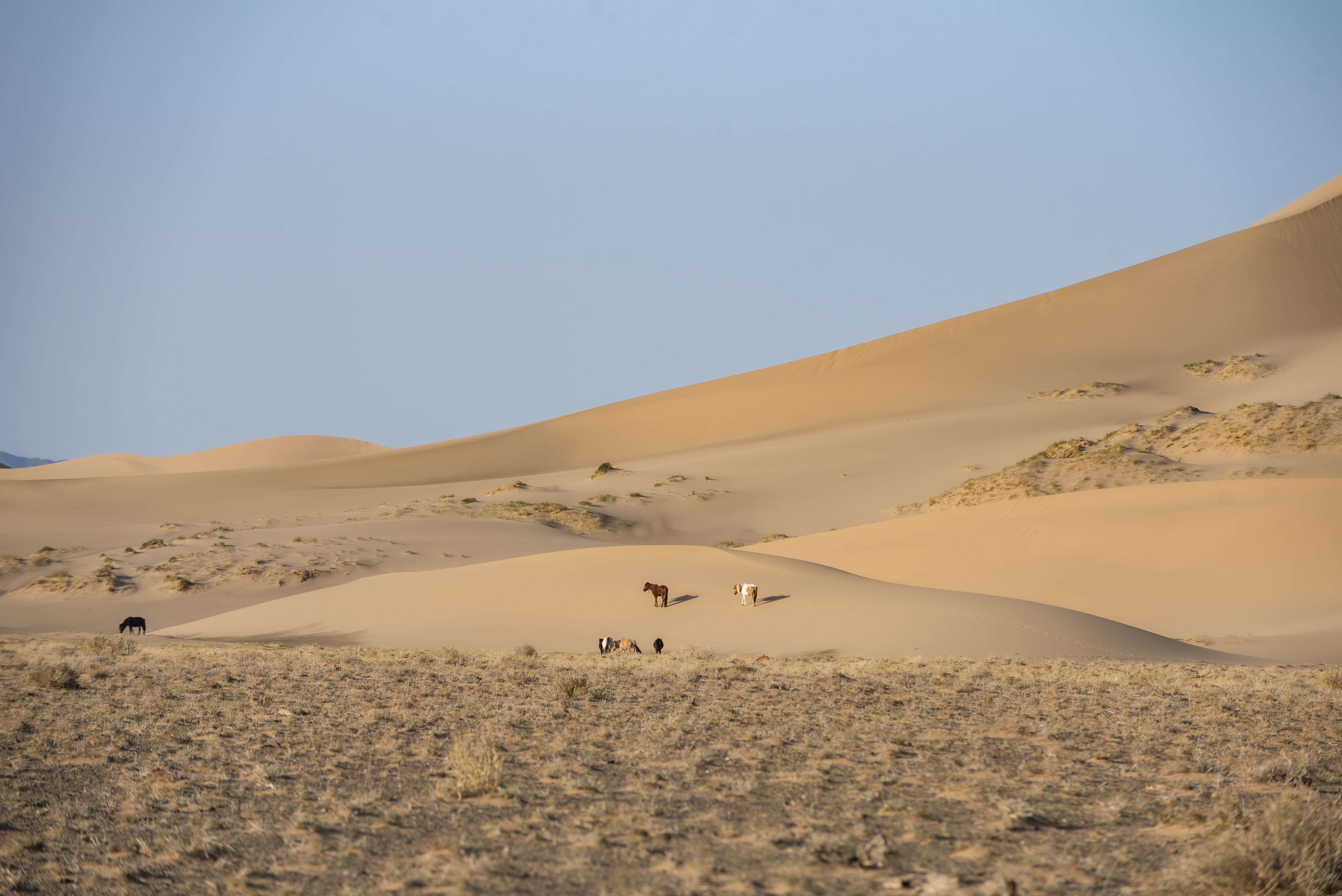 Packing for the Gobi