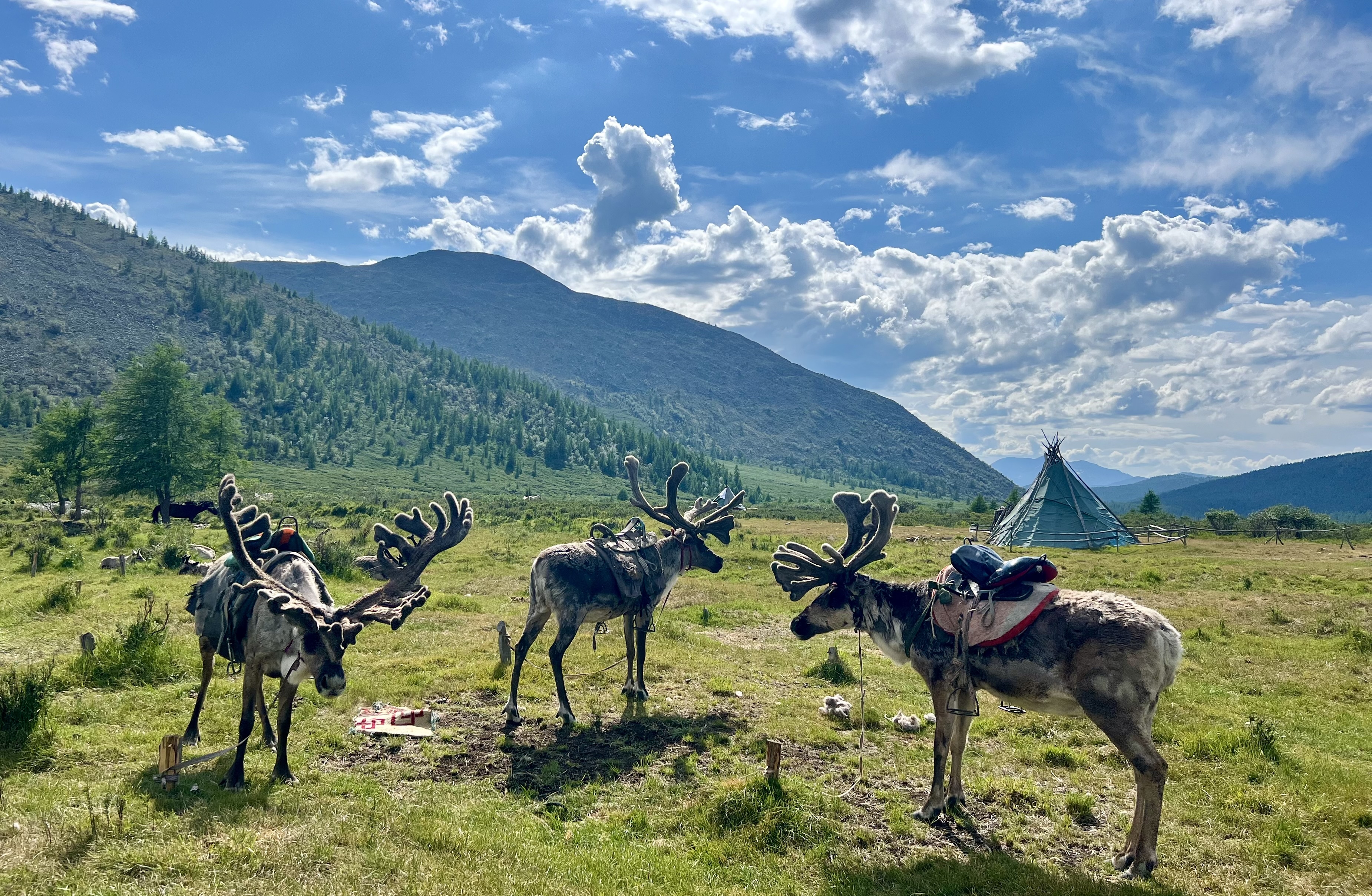 Taiga - Khövsgöl Lake Expedition 